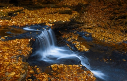 Picture of AUTUMN WATERFALL