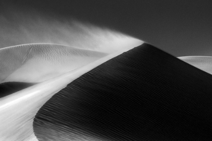 Picture of STORM IN THE DESERT