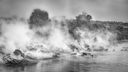 Picture of THE CROSSING AMIDST THE DUST