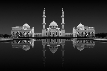 Picture of WHITE MOSQUE