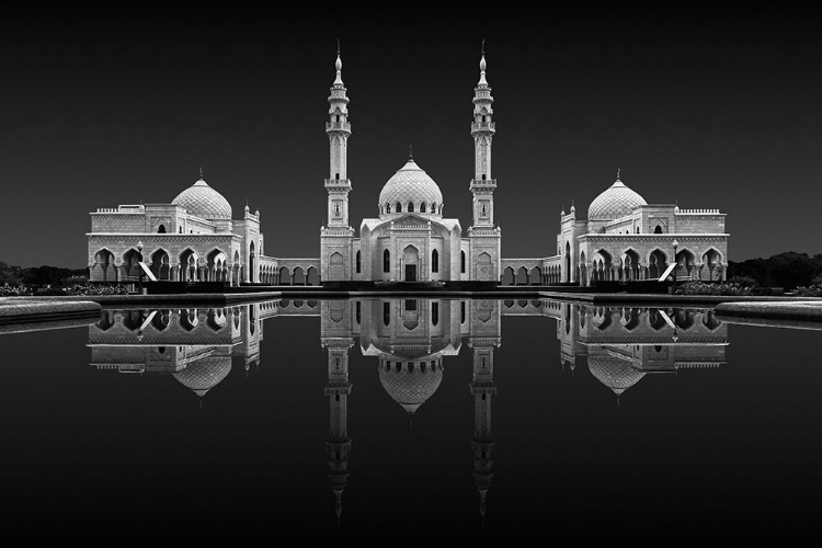 Picture of WHITE MOSQUE