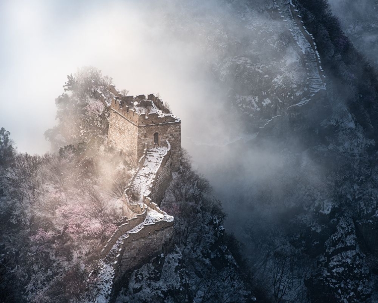 Picture of PEACH BLOSSOM SNOW OF THE GREAT WALL