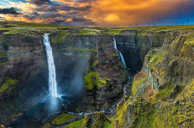 Picture of HAIFOSS AND GRANNI