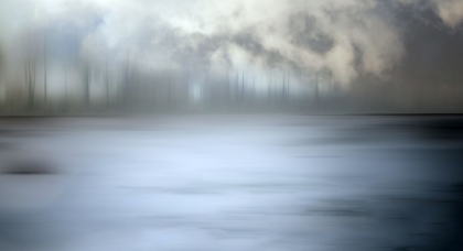 Picture of FOGGY FOREST