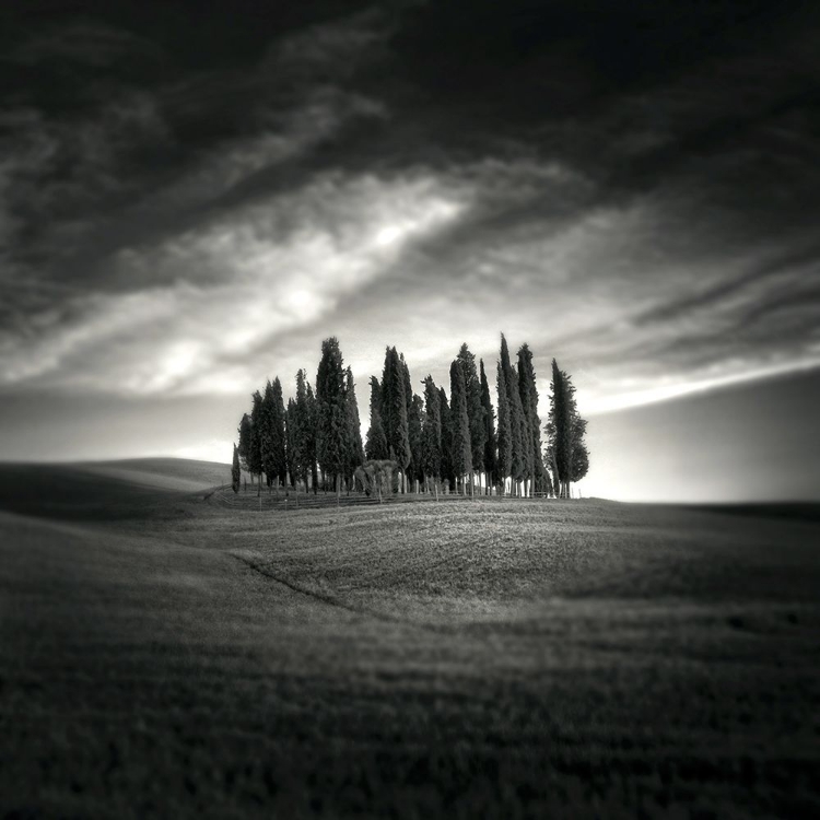 Picture of TUSCANY