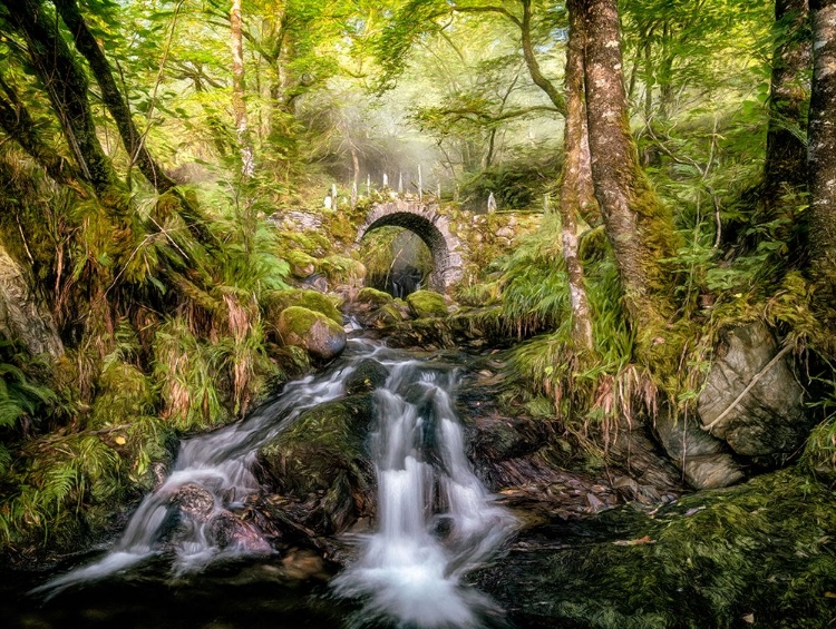 Picture of FAIRY BRIDGE