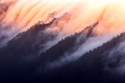 Picture of CLOUD FALLS