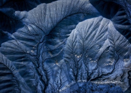 Picture of THE EMBROIDERED LAND