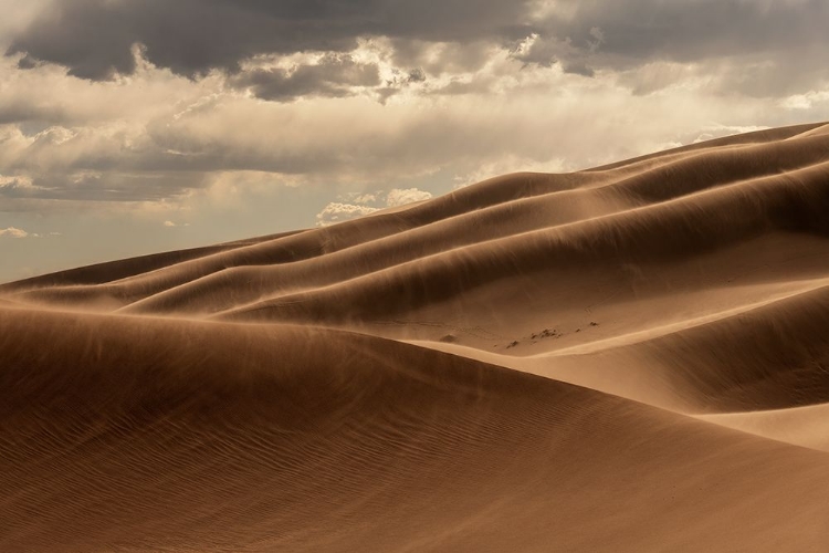 Picture of THE GREAT SAND DUNES