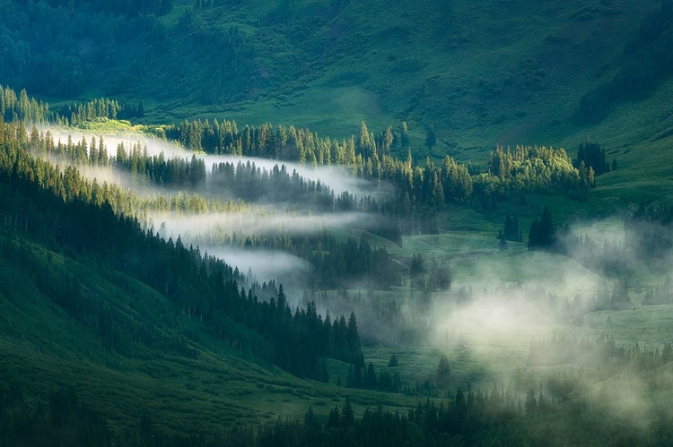 Picture of FOGGY VALLEY