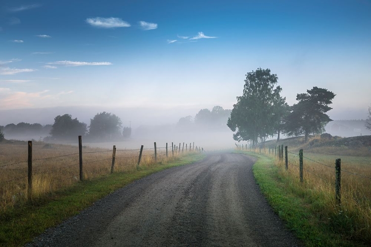 Picture of BLUE FOGGY MORNING