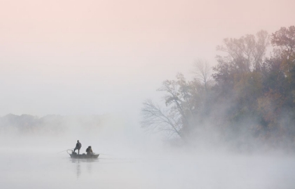 Picture of FOGGY MORNING