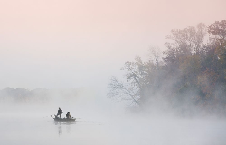 Picture of FOGGY MORNING