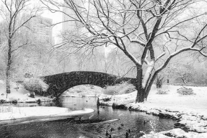 Picture of CENTRAL PARK SNOW