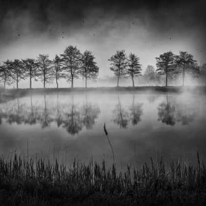 Picture of MORNING BY THE POND