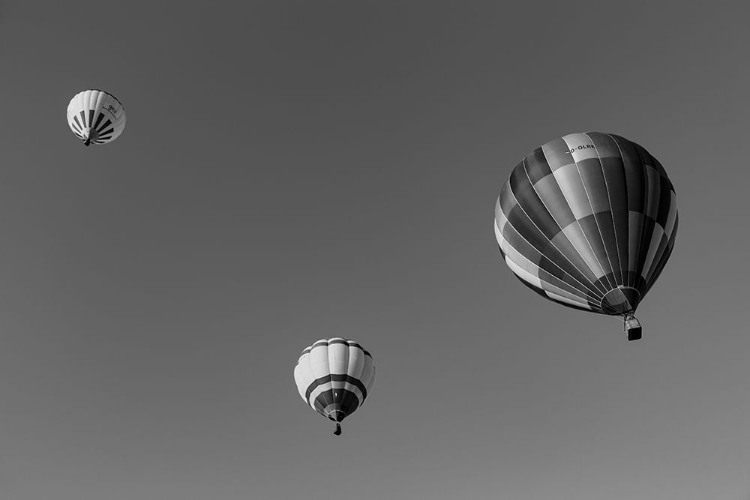 Picture of BALLOONS