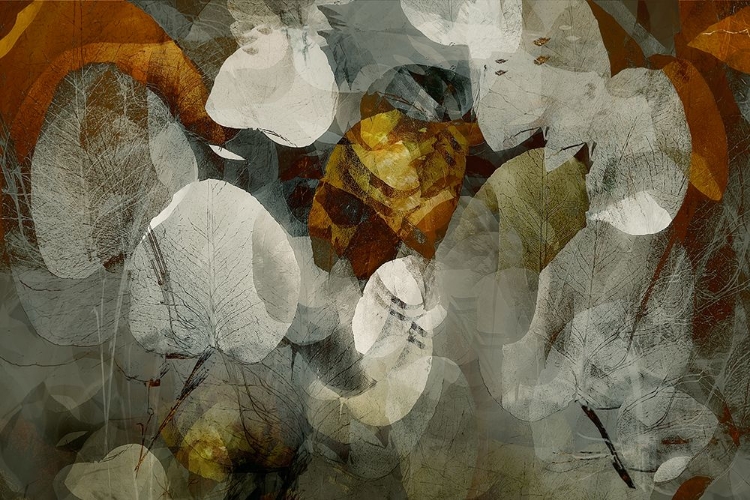 Picture of AUTUMN ABSTRACT