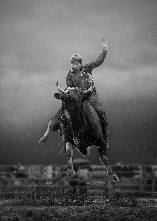 Picture of BULL RIDING  ONTARIO #2