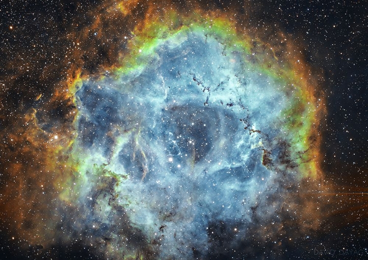 Picture of THE ROSETTE NEBULA