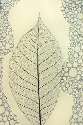 Picture of LEAF