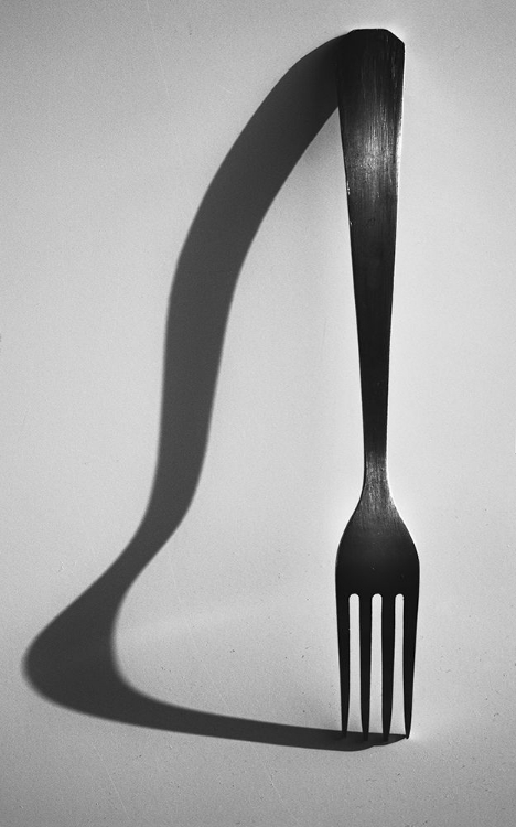 Picture of FORK