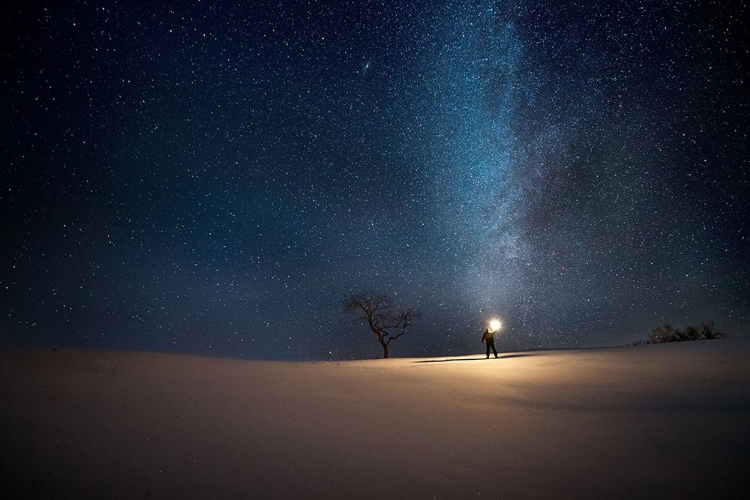 Picture of STARRY SKY IN INNER MONGOLIA PRAIRIE