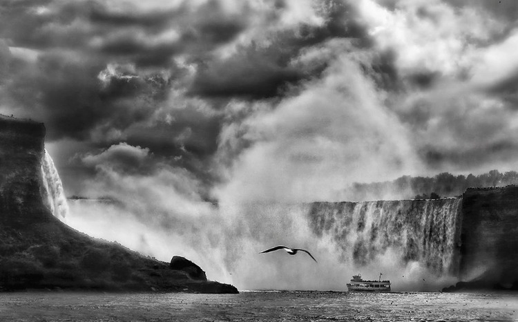 Picture of THE MAID OF THE MIST