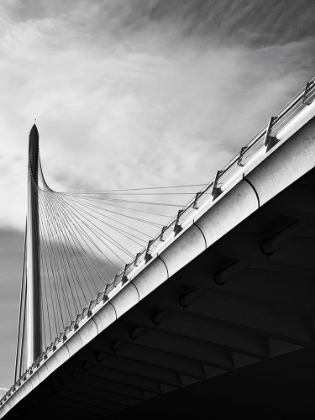 Picture of CABLE-STAYED BRIDGE