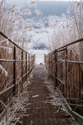 Picture of FREEZING MORNING IN DVORNIKY - VCELARE