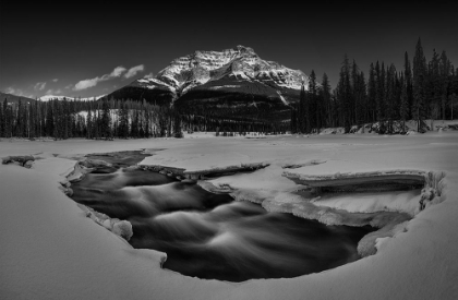 Picture of WINTER ATHABASCA FALLS