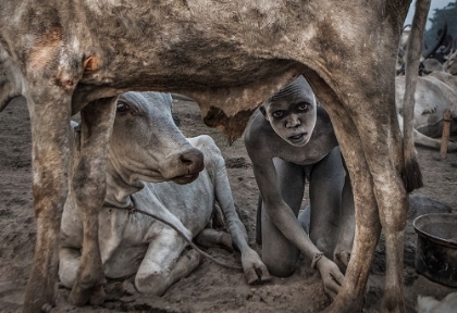 Picture of MUNDARI BOY COLLETING DUNG - SOUTH SUDAN