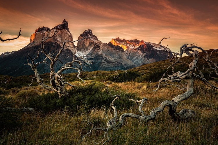 Picture of TORRES DEL PAINE IN SUNRISE