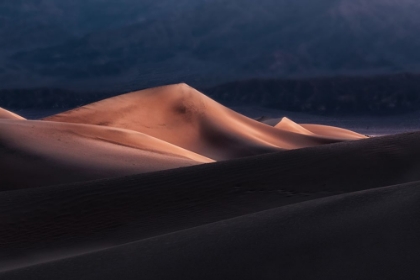 Picture of SAND DUNES AT DAWN