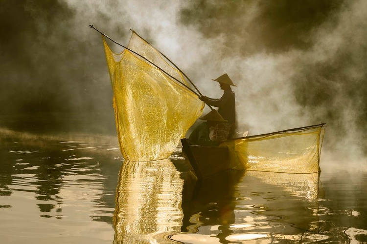 Picture of YELLOW NET