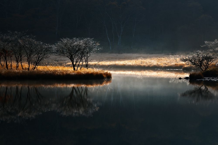 Picture of MORNING OF KAKUMANBUCHI