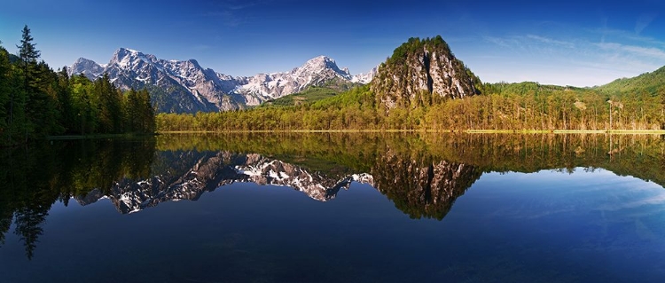 Picture of ALMSEE