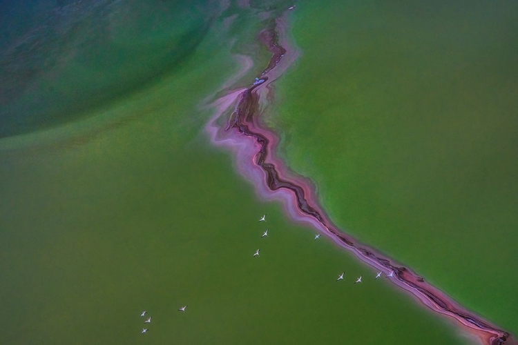 Picture of RIVER FROM THE SKY