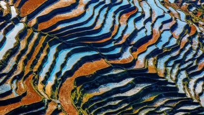 Picture of TERRACED FIELD-7