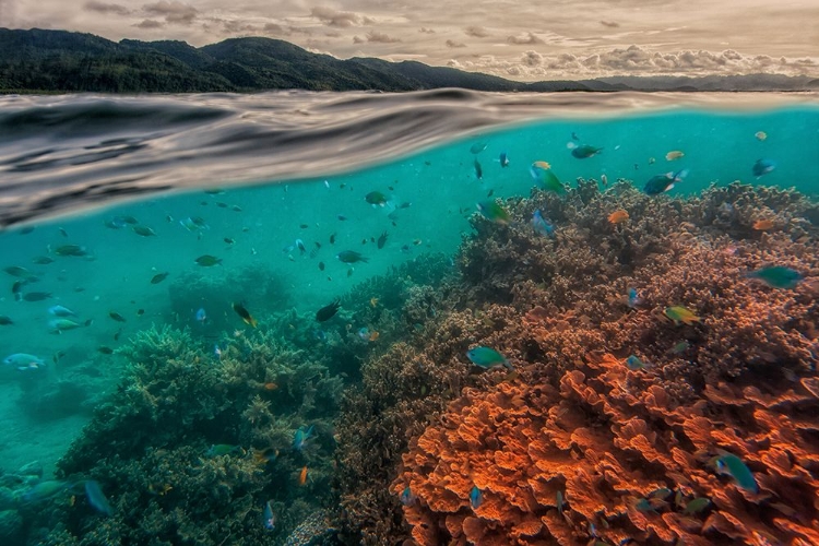 Picture of URI MARINE RESERVE