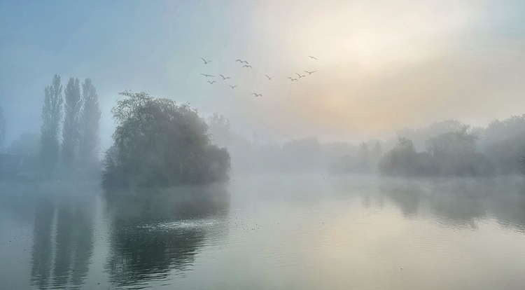 Picture of VERY FOGGY MORNING