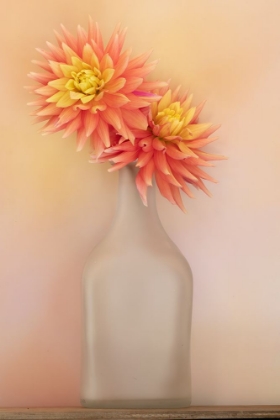 Picture of THE DAHLIA AND VASE