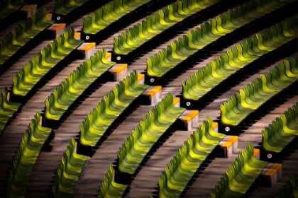 Picture of GREEN/ORANGE GRANDSTAND