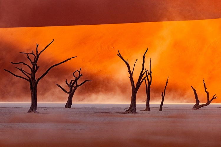 Picture of NAMIBIA: THE SPIRIT OF WILDERNESS