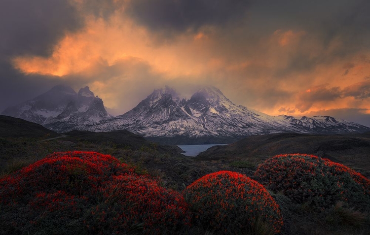 Picture of FIRE BALLS OF TORRES DEL PAINE