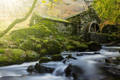 Picture of BORROWDALE MILL