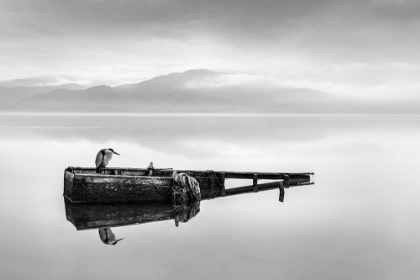 Picture of HERON ON A BOAT I