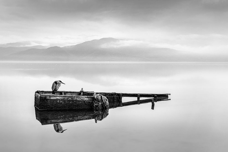 Picture of HERON ON A BOAT I