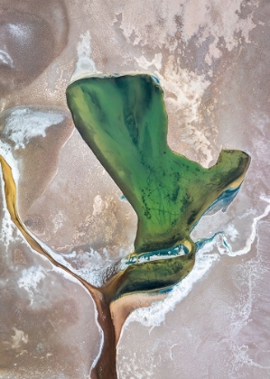 Picture of GREEN SALT POND