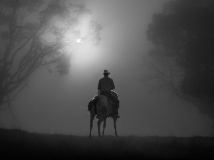 Picture of RIDING IN DAWN MIST