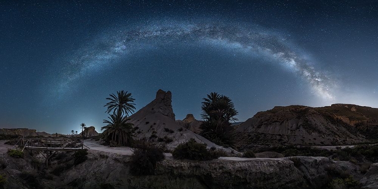 Picture of STARS IN THE DESERT